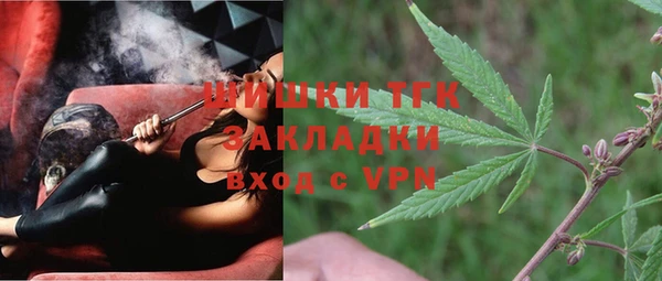 мяу мяу мука Аркадак