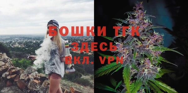мяу мяу мука Аркадак