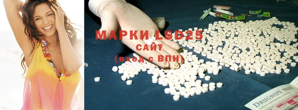 мяу мяу мука Аркадак
