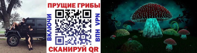 Псилоцибиновые грибы GOLDEN TEACHER  Озёры 